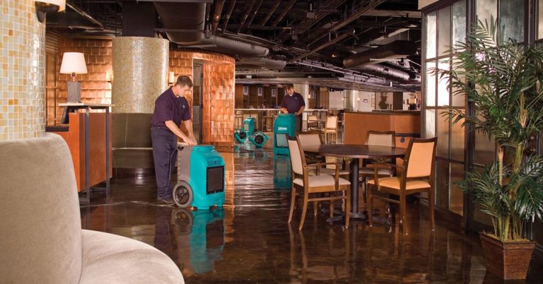 local water damage company Denver, CO